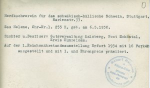 1. Reichsnährstandsausstellung Erfurt 1934